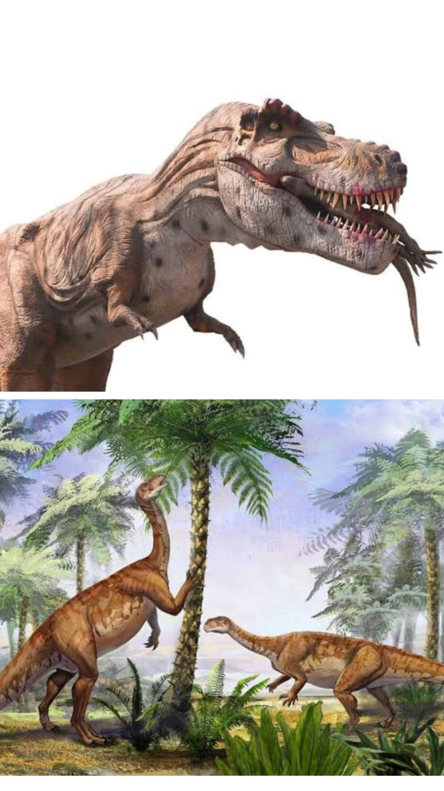 Do you know this interesting facts that What did dinosaurs eat?