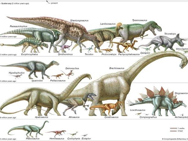 Facts about different types of dinosaurs